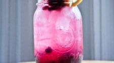 Blueberry Infused Vodka Lemonade