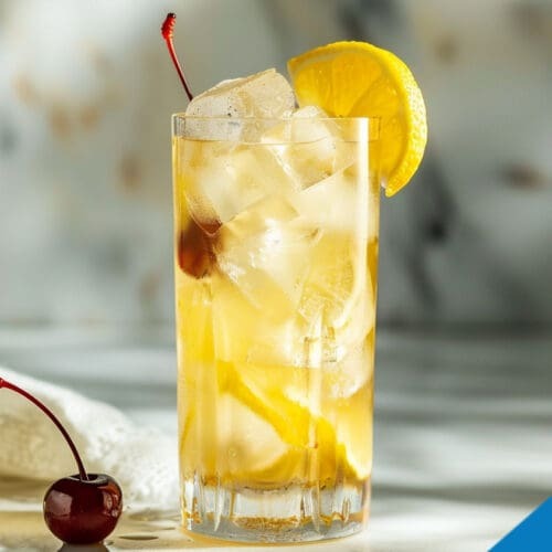 Bourbon Sloe Gin Fizz Recipe - Classic Sparkling Cocktail