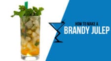 Brandy Julep