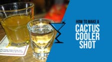 Cactus Cooler Shot