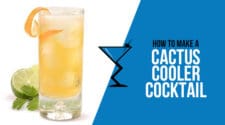 Cactus Cooler Cocktail