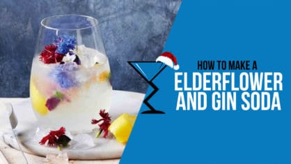 Elderflower and gin soda