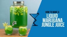 Liquid Marijuana Jungle Juice