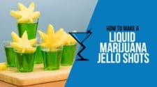 Liquid Marijuana Jello Shots