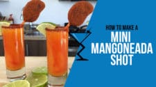 Mini Mangoneada