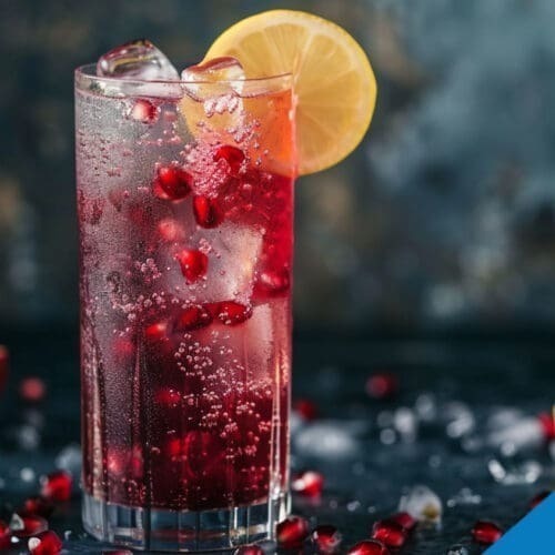 Pomegranate Fizz Cocktail Recipe - Refreshingly Fruity Delight
