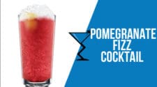 Pomegranate Fizz Cocktail