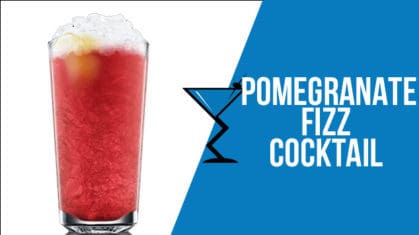 Pomegranate Fizz Cocktail