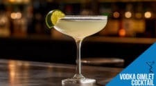 Vodka Gimlet Cocktail