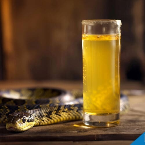 Water Moccasin Shot Recipe - A Bold and Fruity Adventure