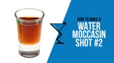 Water Moccasin Shot #2