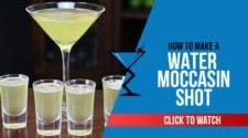 Water Moccasin Shot