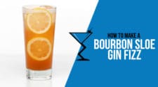 Bourbon Sloe Gin Fizz