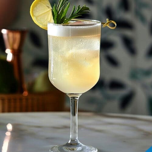 Champagne Fizz Cocktail Recipe - Bubbly, Citrusy Delight