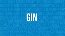 Gin Cocktail Recipes