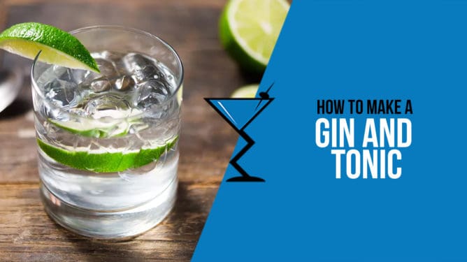 Gin tonic medidas