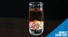 Monkey Brain Shot