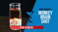 Monkey Brain Shot Recipe