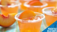 Peach Fizz Jello Shots Recipe – Sweet, Fruity, and Fizzy