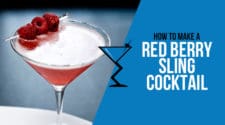 Red Berry Sling Cocktail