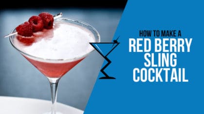 Red Berry Sling Cocktail