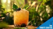 The Tribute Cocktail Recipe - A Hunger Games Inspired Delight